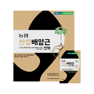 충북농협 - 산삼배양근진액 70ml x 30포(오프라인 판매전용)